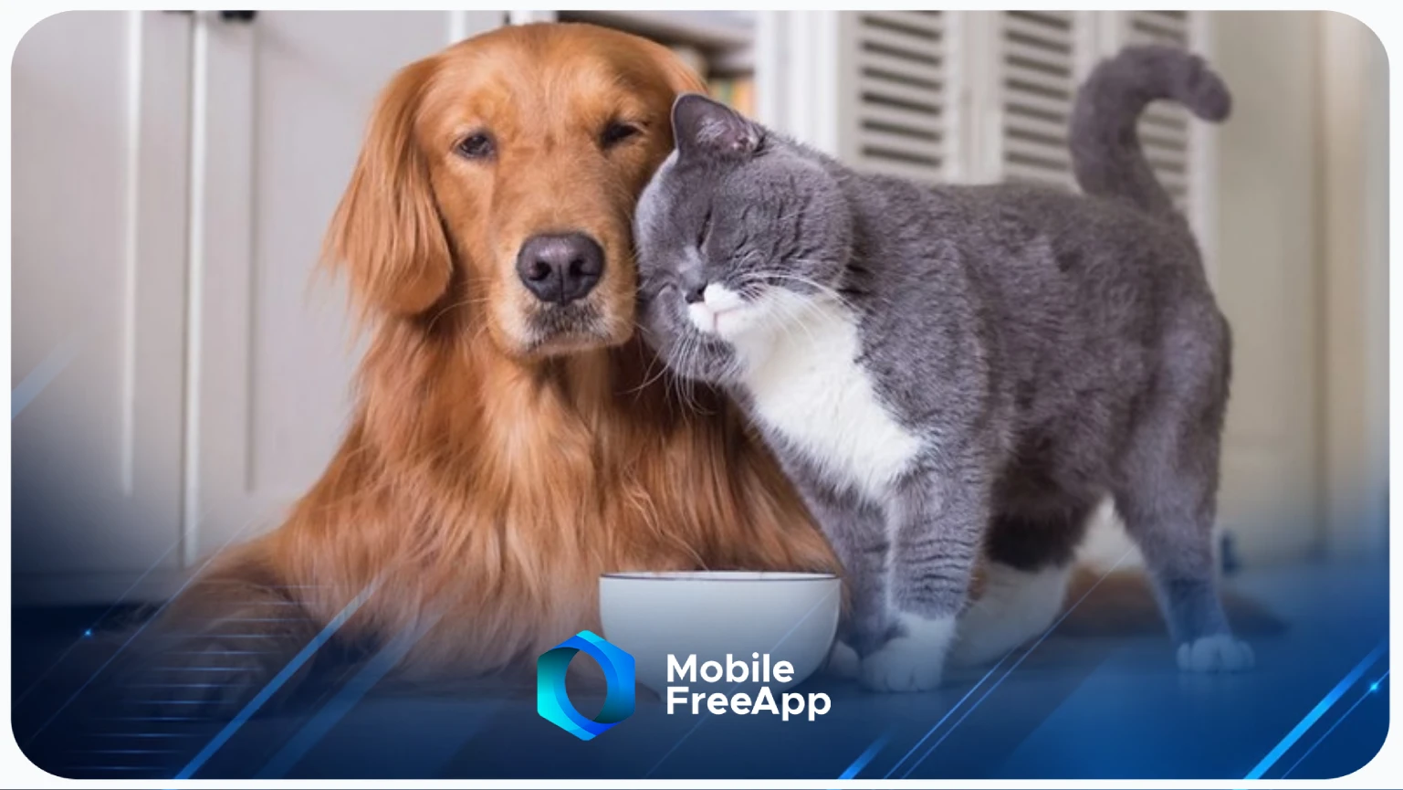 5 maneiras para deixar seu pet mais saudável